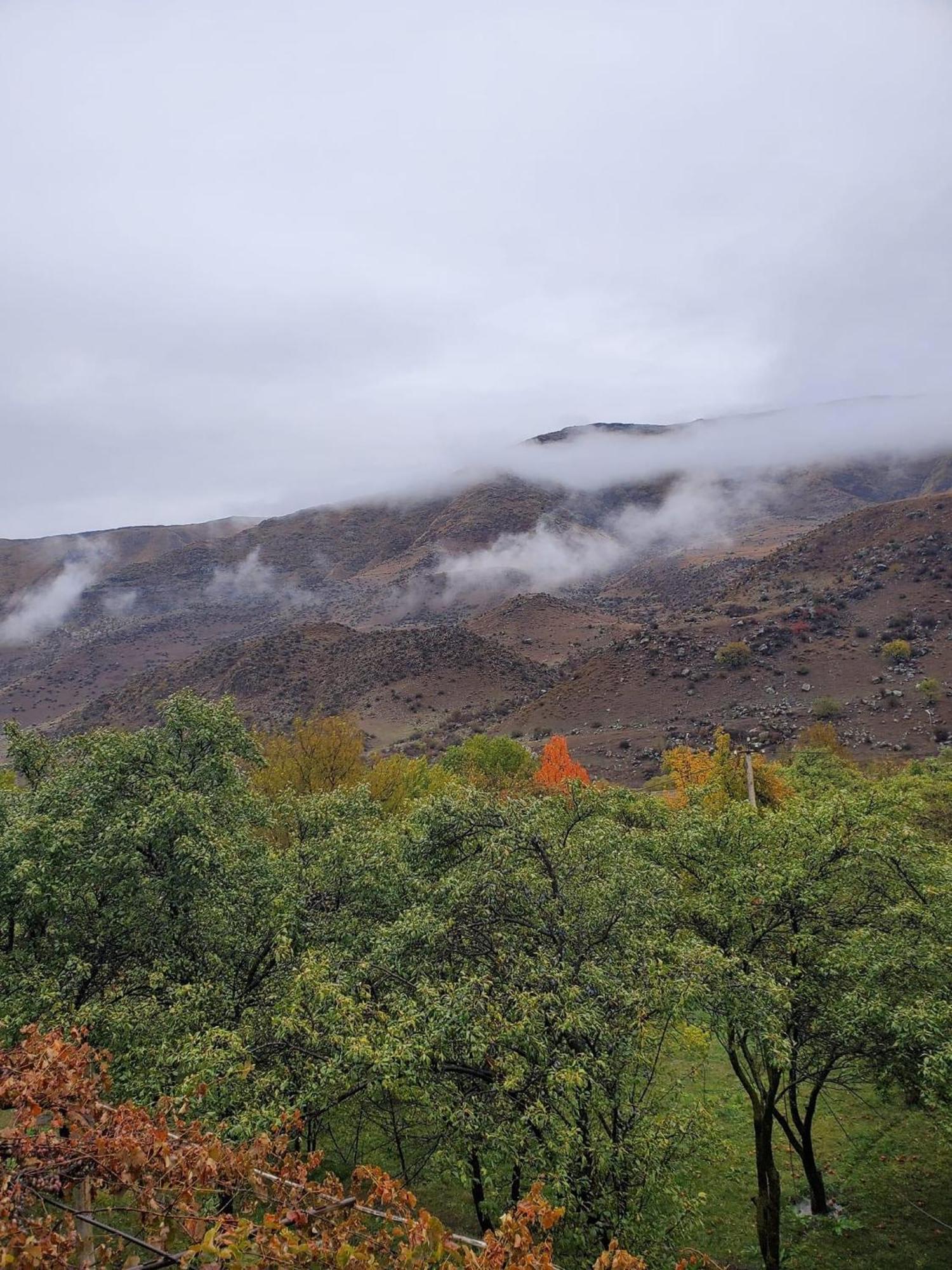 Guesthouse Mtkvari Nakalakevi Екстериор снимка